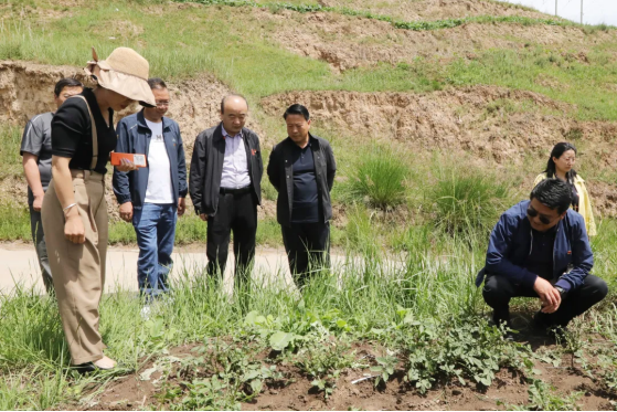 1730861699842185.png image.png